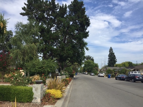 roommates in Saratoga [FEMALES ONLY] Rooms in a cozy home - cirtru.com