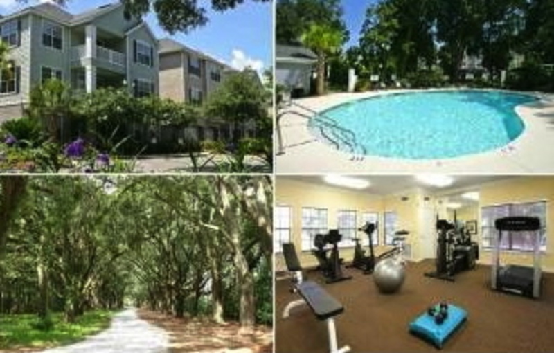 roommates in Johns Island Entire Place 1Bed.1Bath - cirtru.com