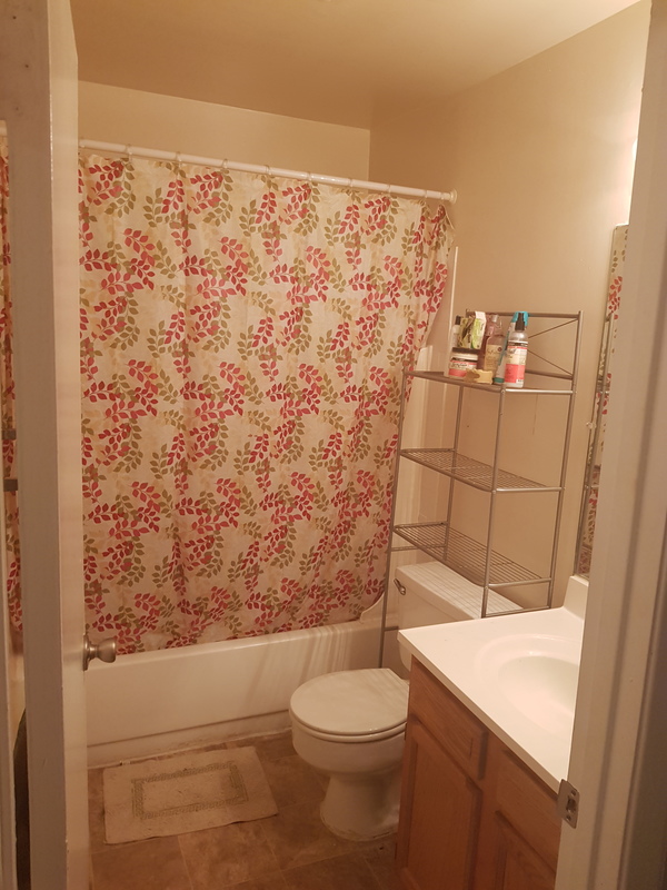 Female Or Student Near CSU