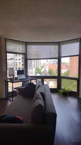 roommates in Chicago Entire Place 1Bed.1Bath - cirtru.com