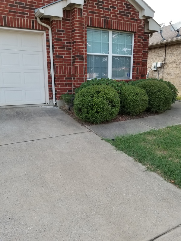 roommates in Fort Worth Private Room in 3Bed.2Bath - cirtru.com