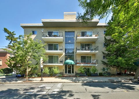 roommates in Brookline Entire Place 2Bed.1Bath - cirtru.com