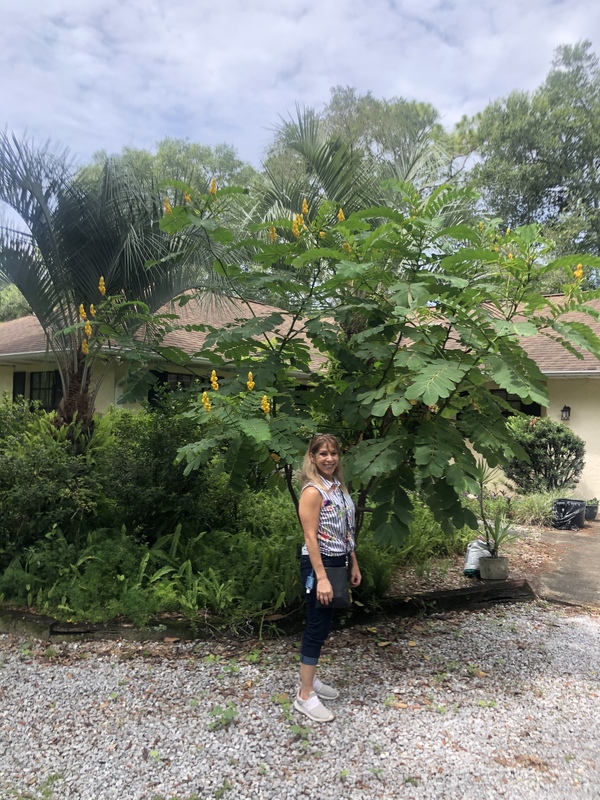 roommates in Deland Entire Place 2Bed.2Bath - cirtru.com