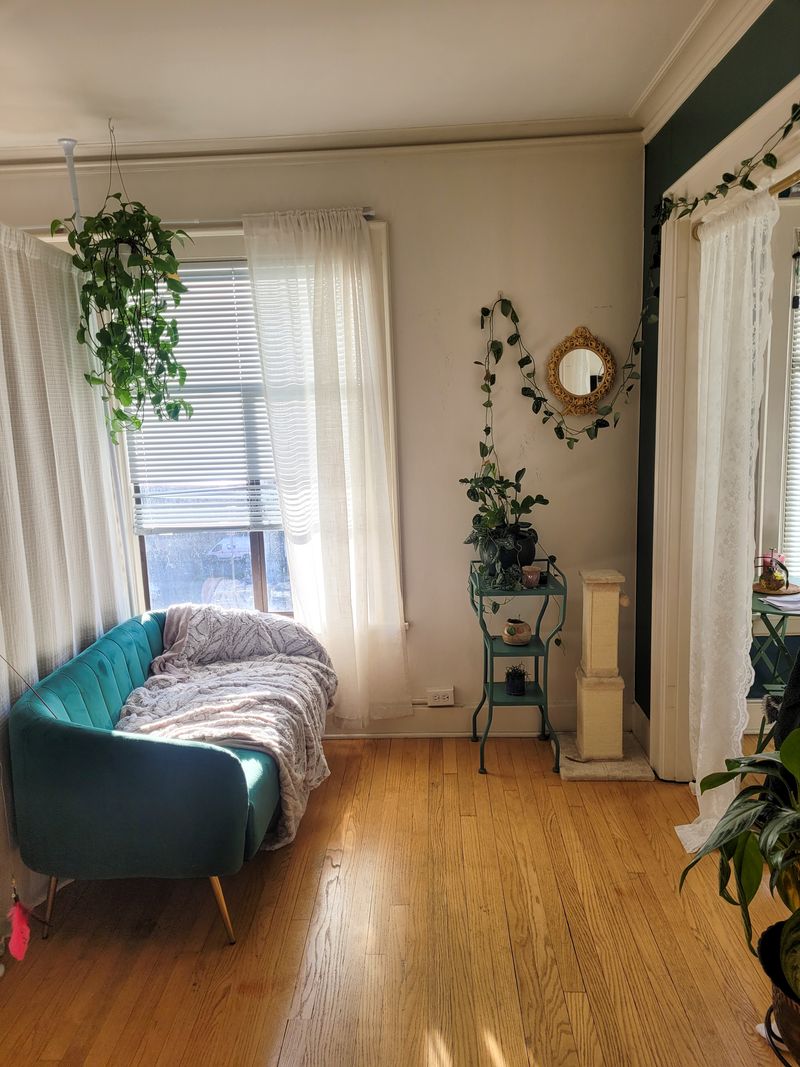 roommates in Seattle Entire Place 1Bed.1Bath - cirtru.com