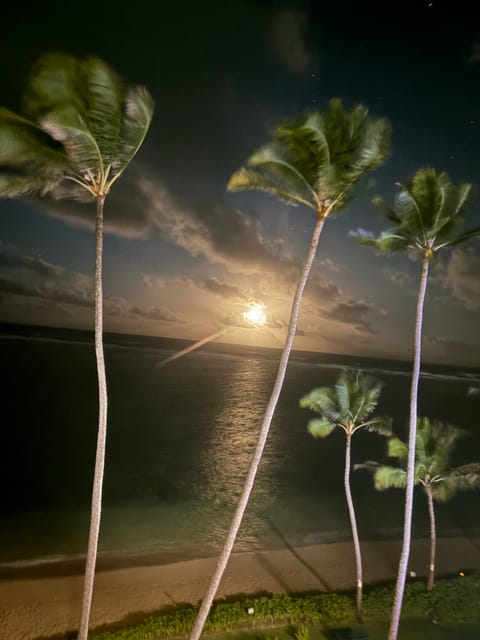 roommates in Hauula Entire Place 2Bed.1Bath - cirtru.com