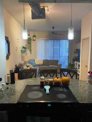 roommates in Houston Entire Place 1Bed.1Bath - cirtru.com