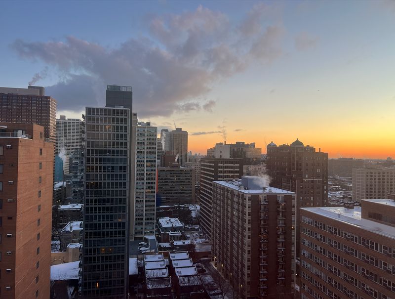 roommates in Chicago Entire Place 1Bed.1Bath - cirtru.com