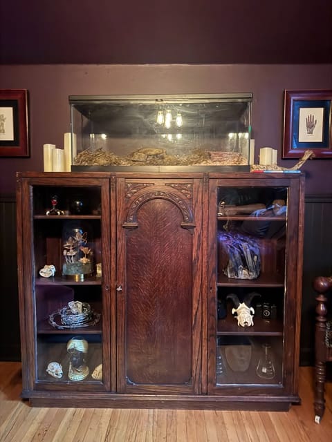roommates in Portland Shared Room in 1Bed.1Bath - cirtru.com