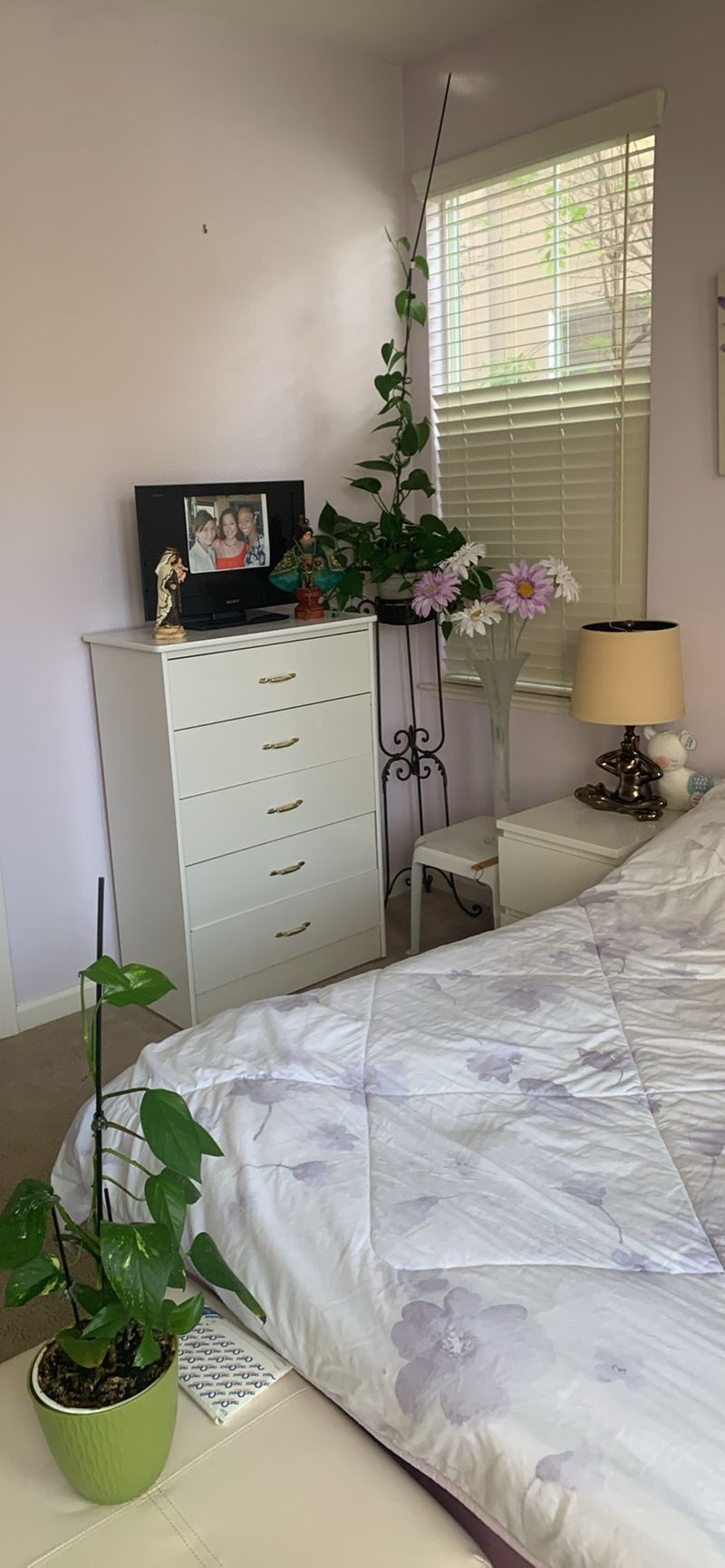 roommates in San Jose Private Room in 1Bed.1Bath - cirtru.com
