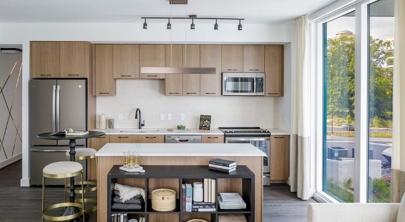 roommates in Reston Entire Place 2Bed.2Bath - cirtru.com