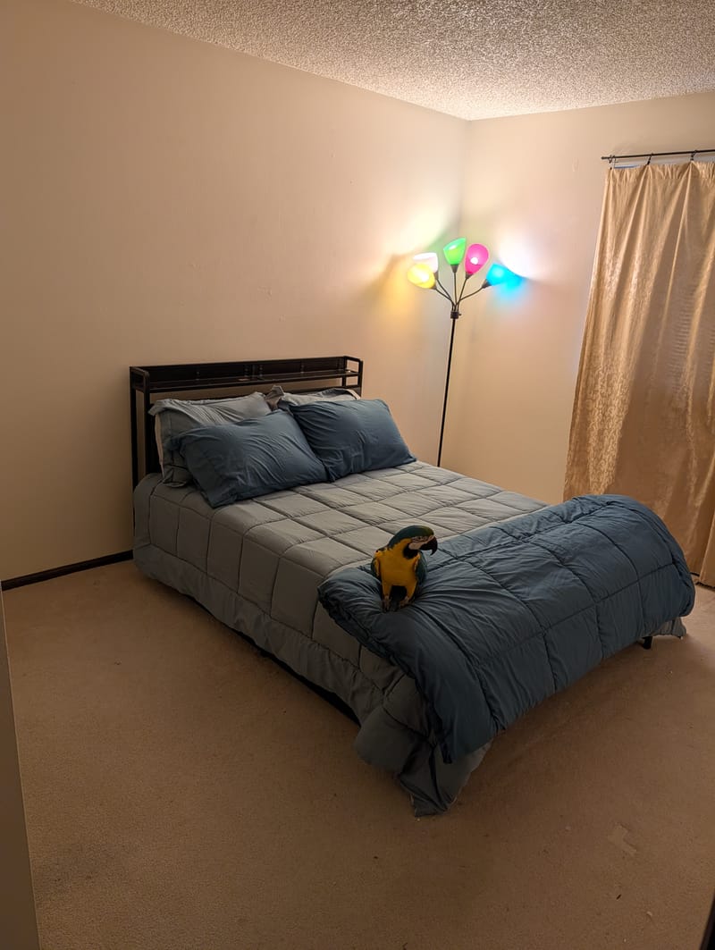 Private Room in 4Bed.2.5Bath