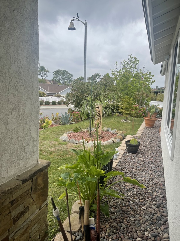 roommates in Mission Viejo Entire unite studio type private - cirtru.com