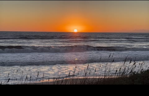 roommates in Kitty Hawk Entire Place 1Bed.2Bath - cirtru.com