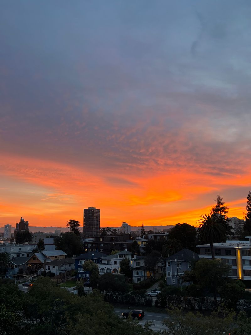 roommates in Oakland Private Room in 3Bed.2Bath - cirtru.com