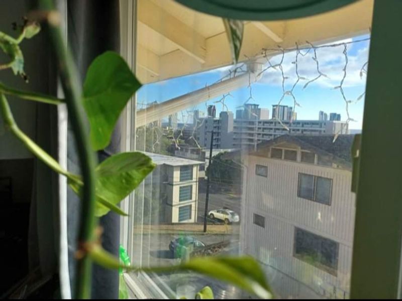 roommates in Honolulu Room2Bed.2Bath - cirtru.com