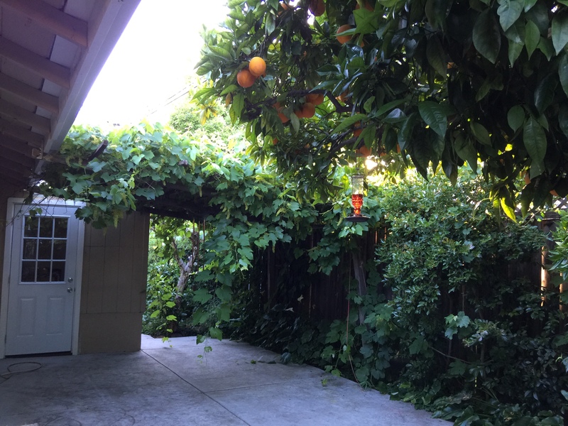 Private Room in 3Bed.2Bath