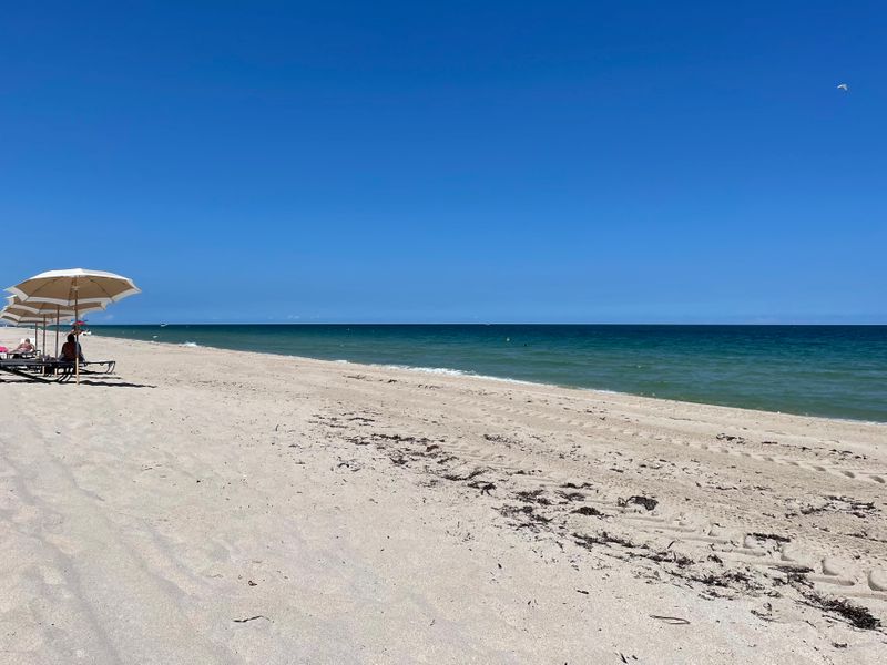 roommates in Fort Lauderdale Entire Place 5Bed.3Bath - cirtru.com