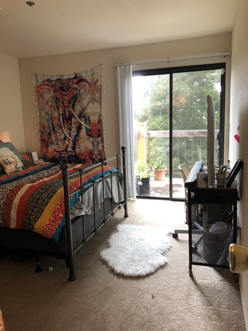 roommates in Richmond Master BR w private bath & closet - cirtru.com