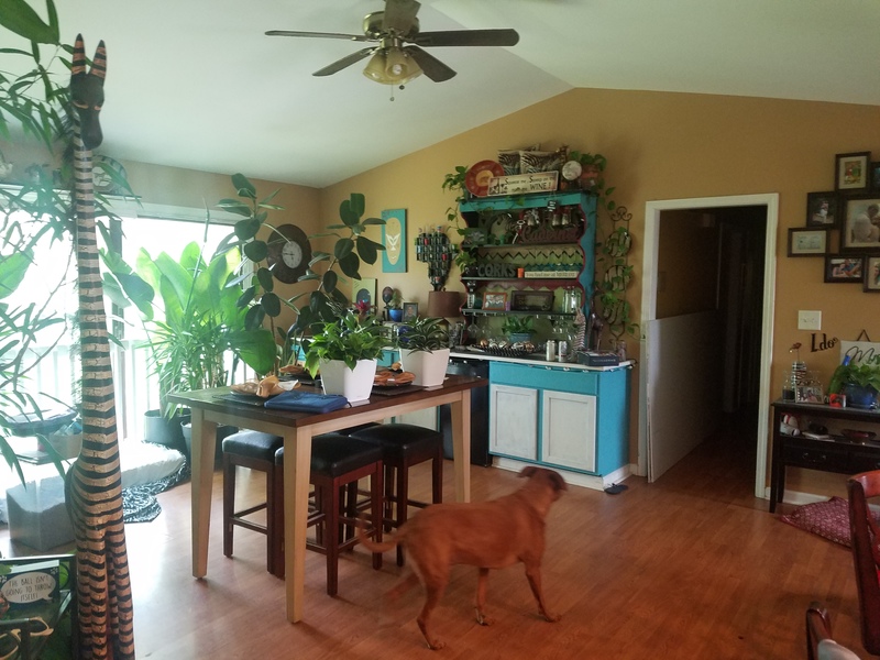 roommates in Decatur $530 Room for Rent N. Decatur House - cirtru.com