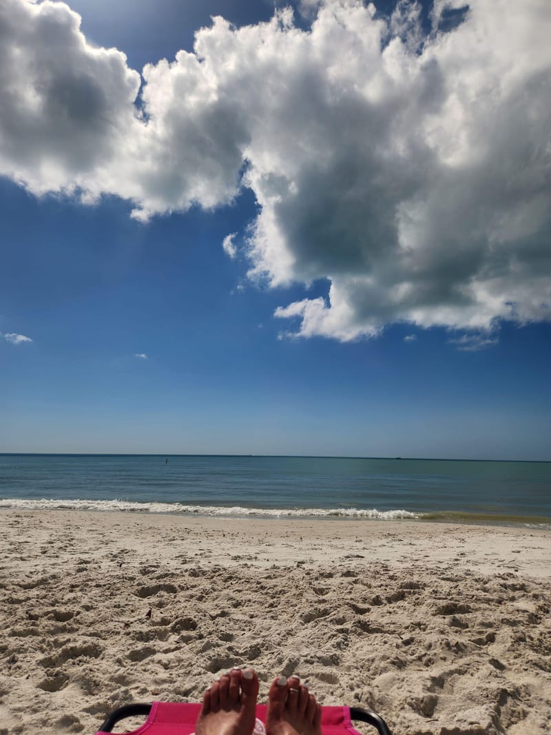roommates in Undisclosed, Bonita Springs, FL 34135 Coastal living in Bonita Springs (id. 31248) - cirtru.com