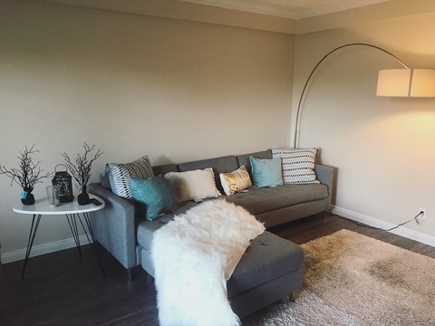 roommates in Santa Ana Seeking Female Roommate for April 1 - cirtru.com