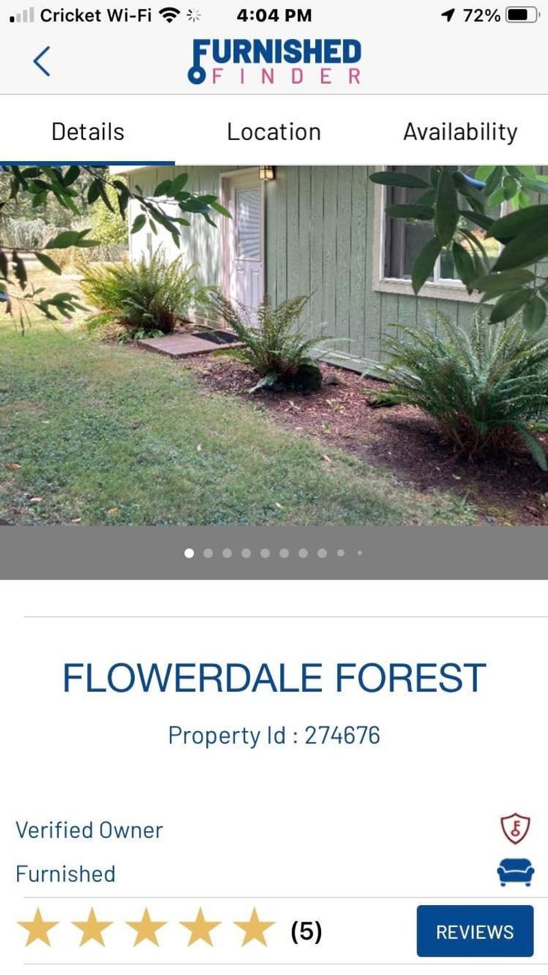 roommates in Springfield Entire Place 1Bed.1Bath - cirtru.com