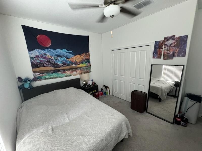 roommates in Tampa Private Room in 4Bed.3Bath - cirtru.com