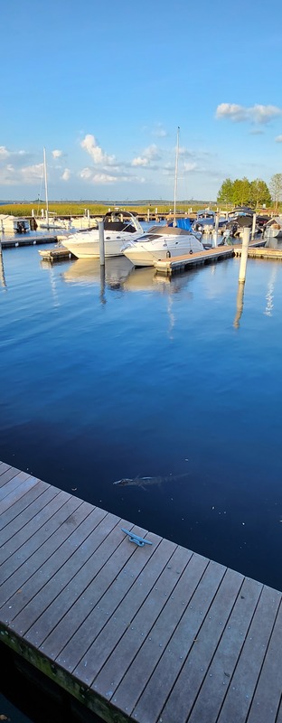 roommates in Saint Cloud Private Room in 1Bed.1Bath - cirtru.com