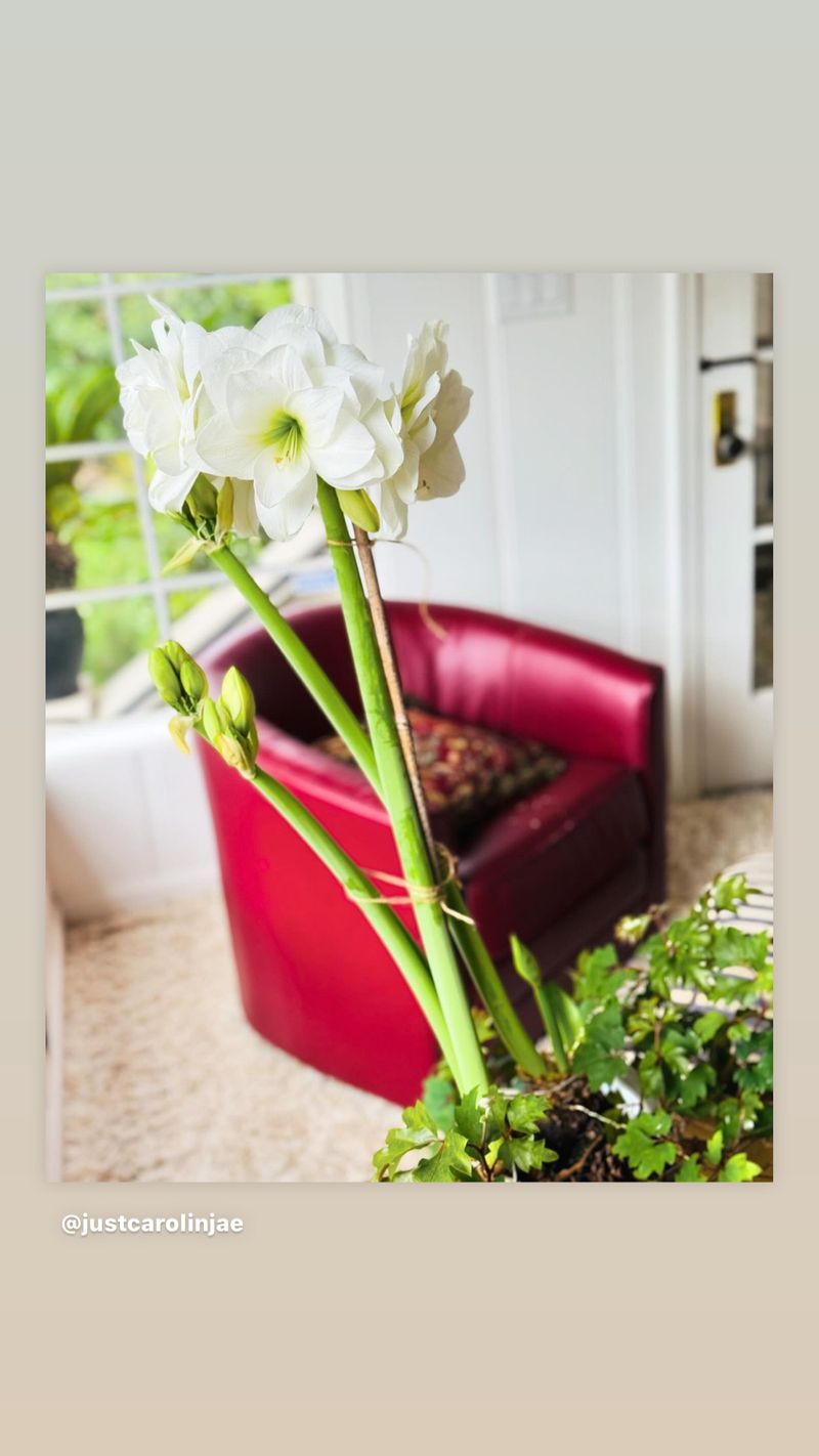 roommates in Lodi Entire Place 4Bed.2.5Bath - cirtru.com