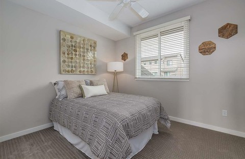 roommates in Oakland Private Room in 3Bed.2Bath - cirtru.com