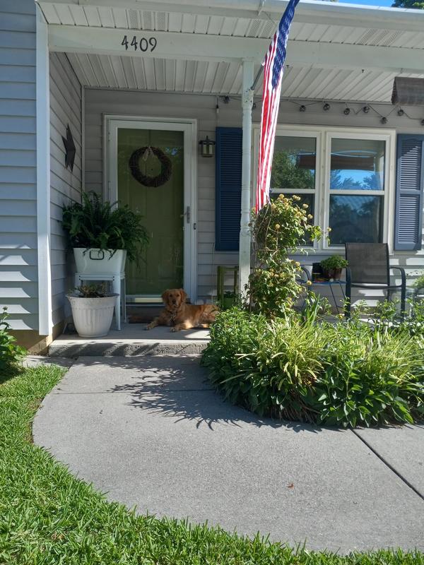roommates in Wilmington Private Room in 3Bed.2Bath - cirtru.com