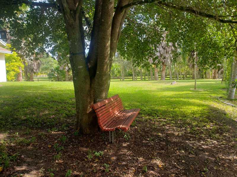 roommates in West Palm Beach Private Room in 1Bed.1Bath - cirtru.com