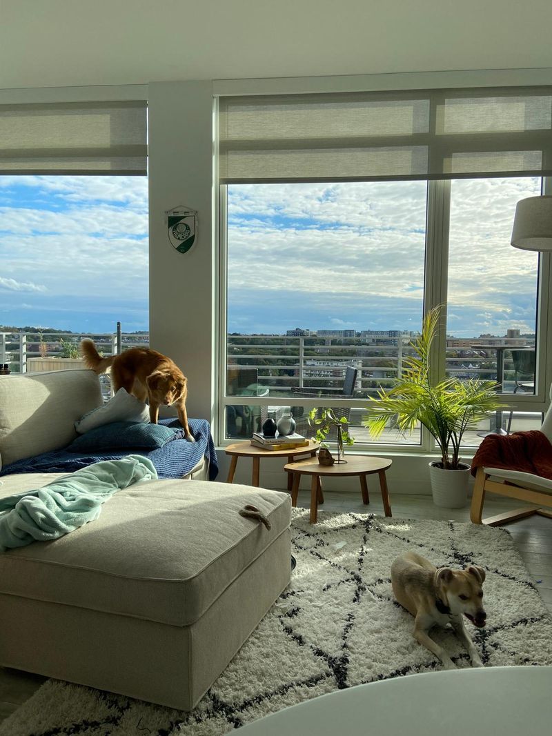 roommates in Brighton Entire Place 2Bed.1Bath - cirtru.com