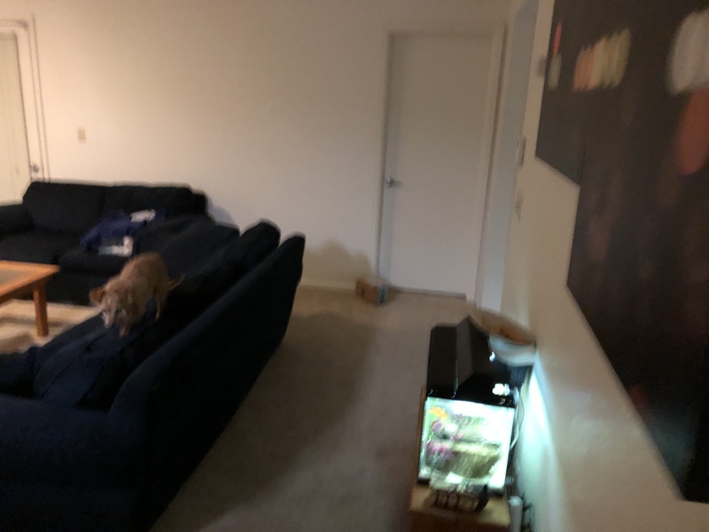 roommates in Englewood Private Room in 2Bed.2Bath - cirtru.com