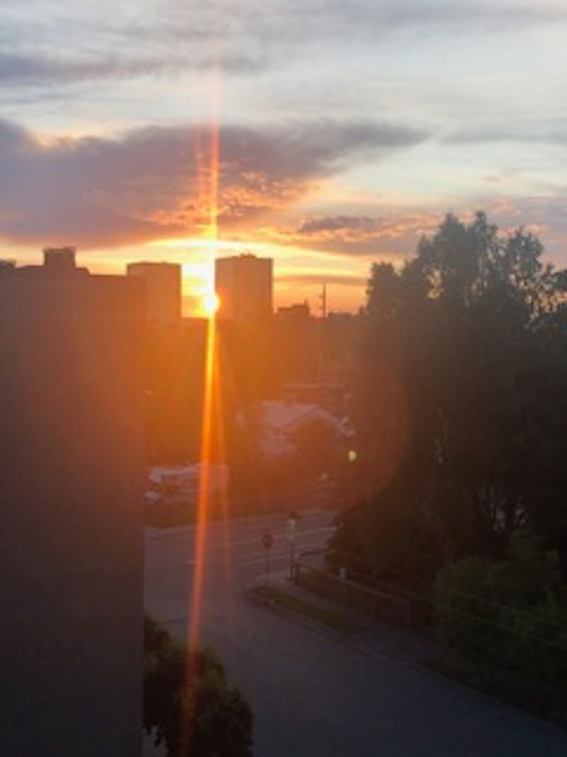 roommates in Anchorage Entire Place 1Bed.1Bath - cirtru.com