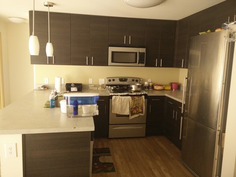 roommates in Seattle Roommate to share 2Bed2Bath - cirtru.com