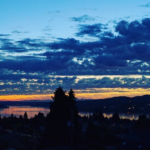 roommates in Seattle Master suite with view, deck, bath - cirtru.com