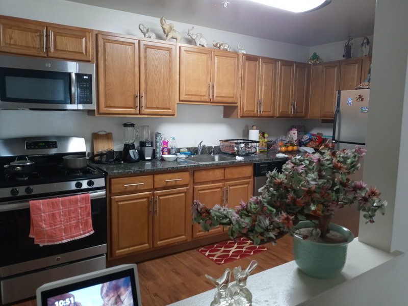 roommates in Carteret Private Room in 1Bed.1Bath - cirtru.com