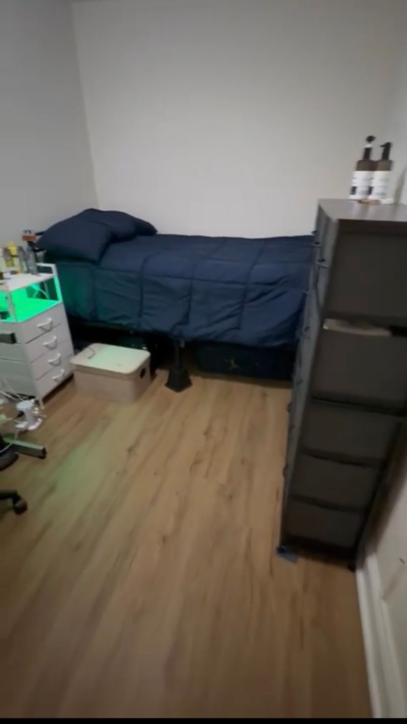 roommates in Boston Private Room in 3Bed.2Bath - cirtru.com