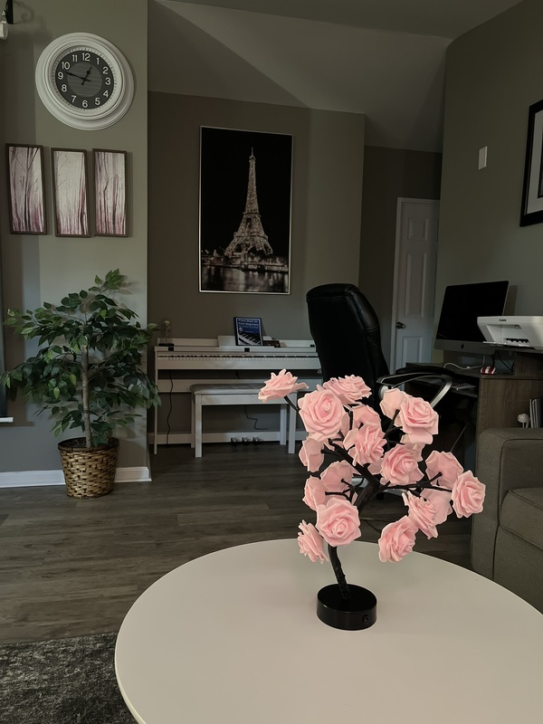roommates in Gastonia Private Room in 3Bed.2Bath - cirtru.com