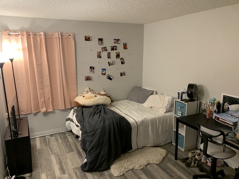 roommates in Phoenix Private Room in 2Bed.1Bath - cirtru.com