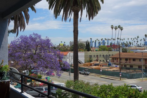 roommates in Los Angeles Private Room in 2Bed.2Bath - cirtru.com
