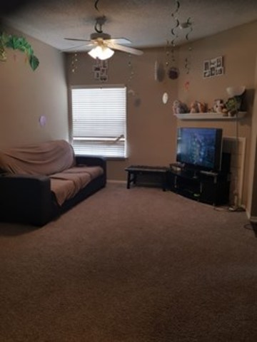 roommates in Plano Private Room in 2Bed.2Bath - cirtru.com