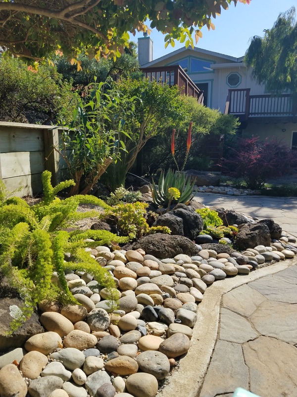 roommates in Pacifica Private living, bath,and bed room - cirtru.com