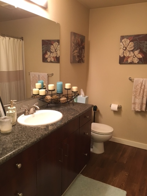 Downtown: Master bed in a huge 2b2b