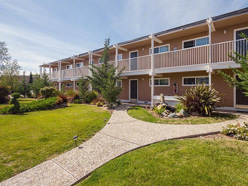 roommates in Pleasant Hill Shared 1Bhk - cirtru.com