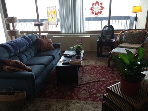 roommates in Falls Church Private Room in 2Bed.2Bath - cirtru.com