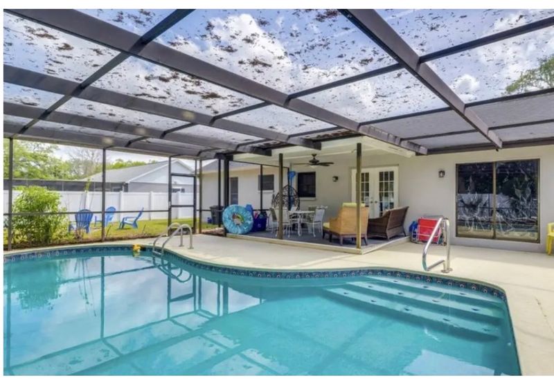 roommates in Spring Hill Entire Place 3Bed.2Bath - cirtru.com