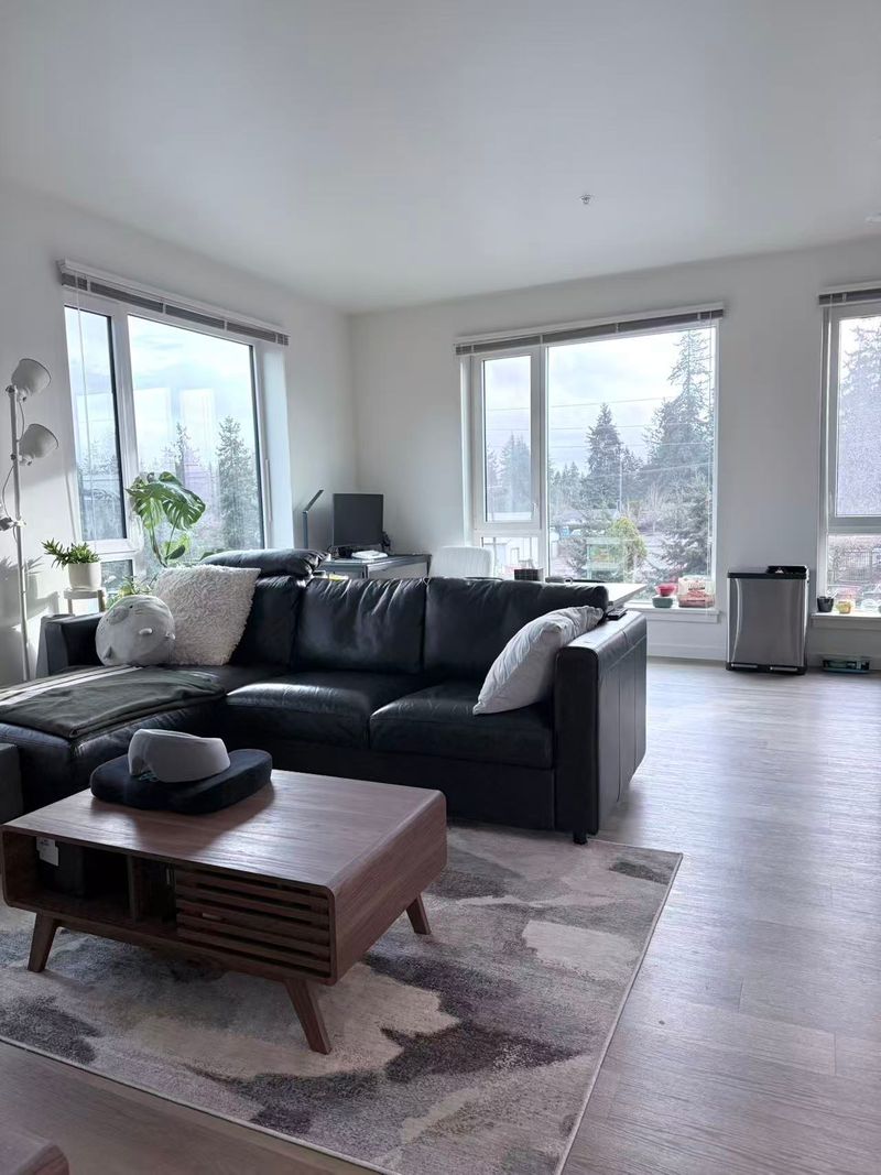 roommates in Shoreline Entire Place 2Bed.2Bath - cirtru.com