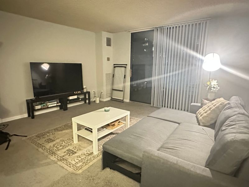 roommates in Arlington Entire Place 1Bed.1Bath - cirtru.com